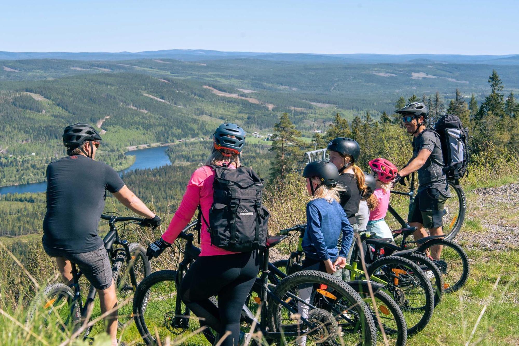 Lyxig Stuga Pa Branaesberget Sysslebäck Exterior foto